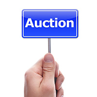 Auction