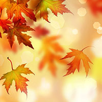 autumn leaves