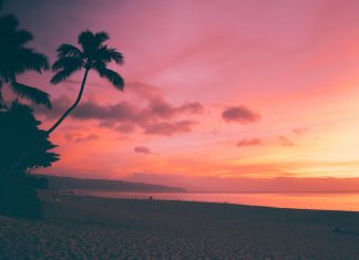 Your Ultimate Guide to Moving to Hawaii